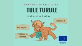 Turupäev