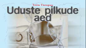 Uduste pilkude aed